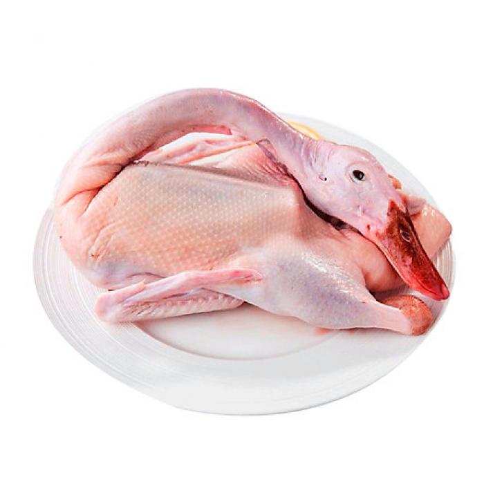 Thịt vịt